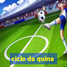 ciclo da quina